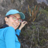 <a href="https://www.fernsoftheworld.com/author/avasco/" target="_self">Alejandra Vasco</a>