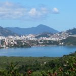 Ferns and Lycophytes of Santa Catarina Island, Brazil