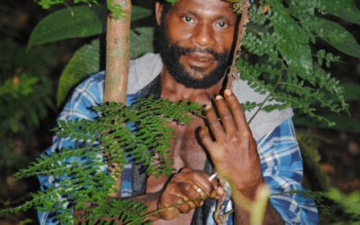 Arthrobotrya articulata