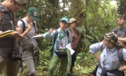 Meniscium with Alejandra Vasco and Wes Testo – OTS Ferns and Lycophytes 2019