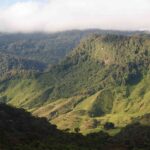 Ferns and Lycophytes of the Centello Reserve, Jardín, Antioquia, Colombia