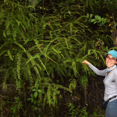 DSC_0517 (Sticherus remotus)