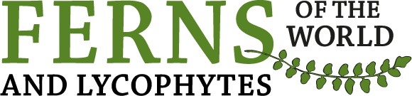 Ferns and Lycophytes of the World